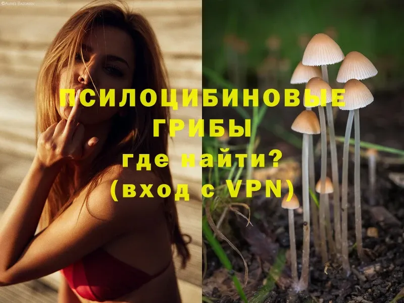 купить закладку  Дубна  Галлюциногенные грибы Cubensis 