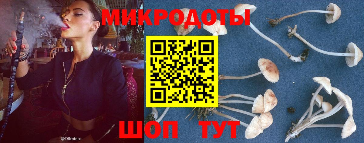 Дубна  Псилоцибиновые грибы Magic Shrooms  Вход с VPN  Галлюциногенные грибы мицелий 