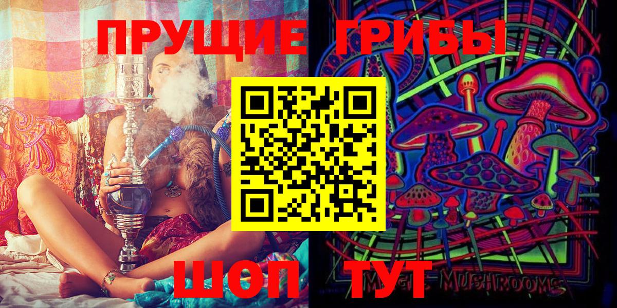 Псилоцибиновые грибы мицелий Дубна