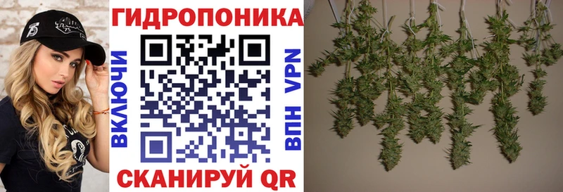 Каннабис Bruce Banner Дубна